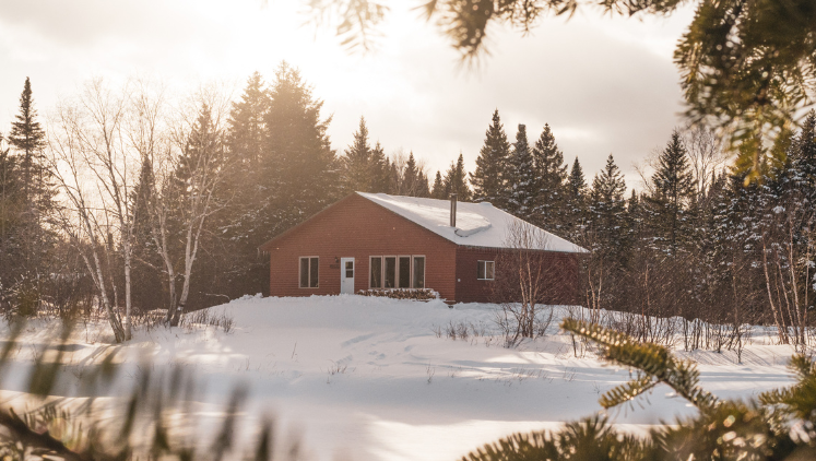 Le Bécassier en hiver