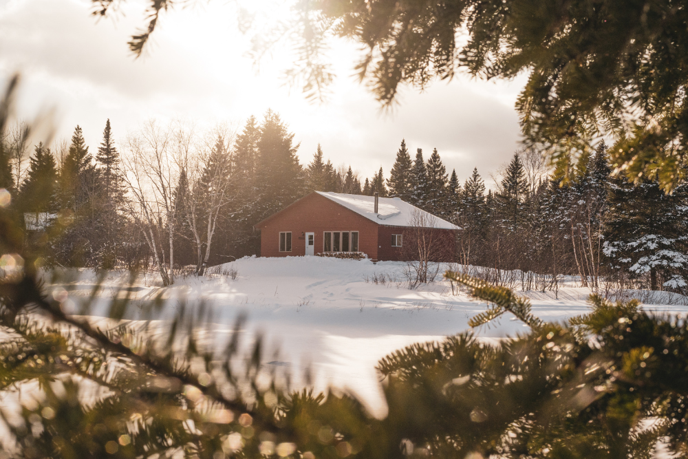 Le Bécassier en hiver