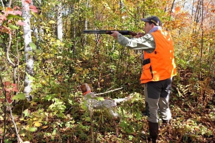 Chasse aux petits gibiers en nature au Québec