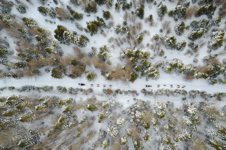 Activité de traineau à chiens en famille en nature au Québec